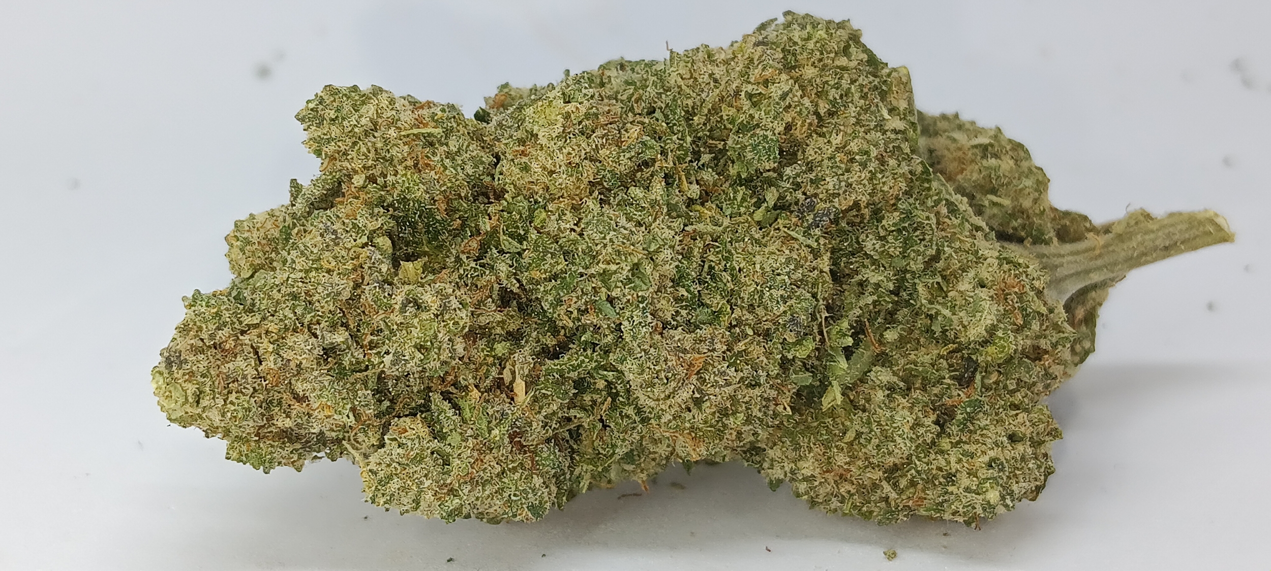 cbd melon