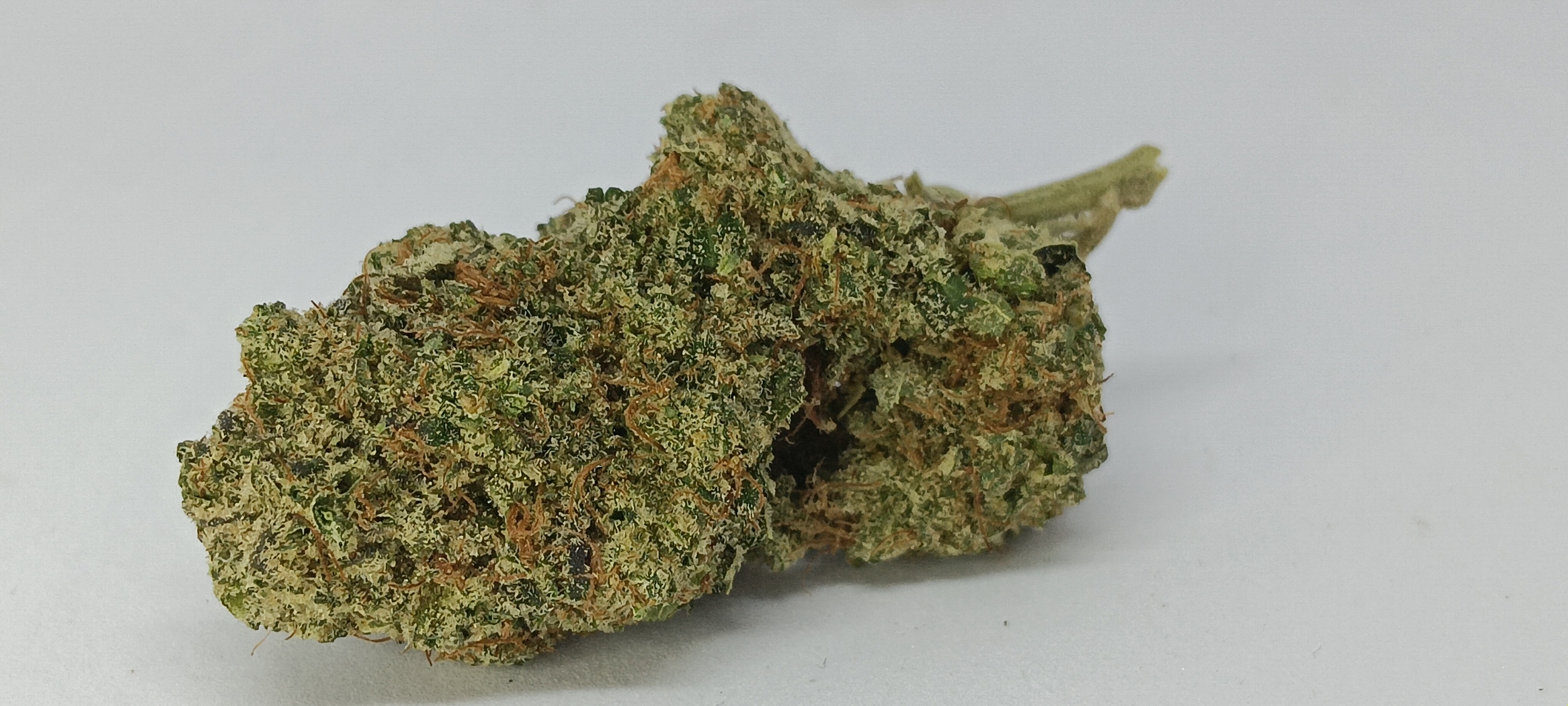 Gorilla Glue CBD Hydro