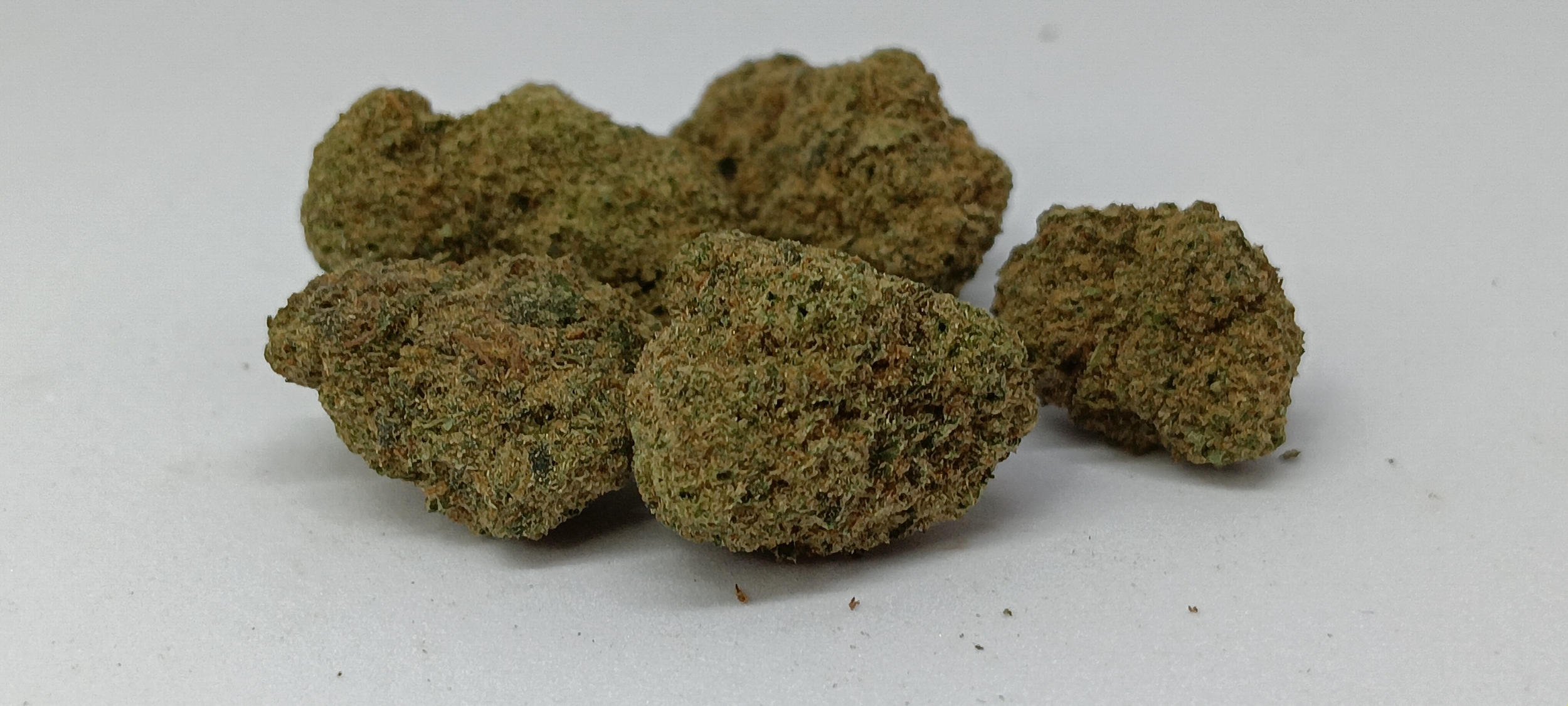 lemon og small bud