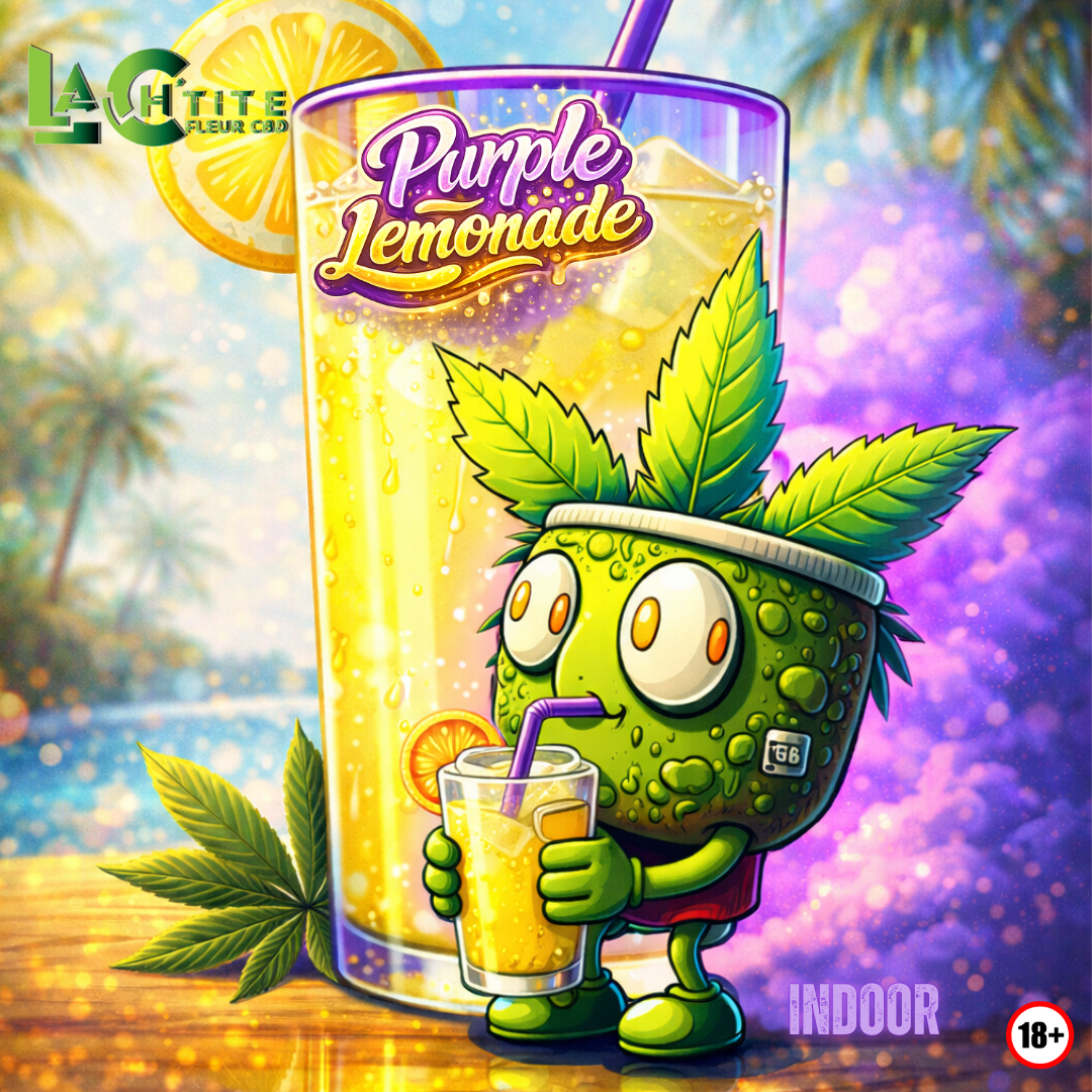 Purple Lemonade  R2SEAUX