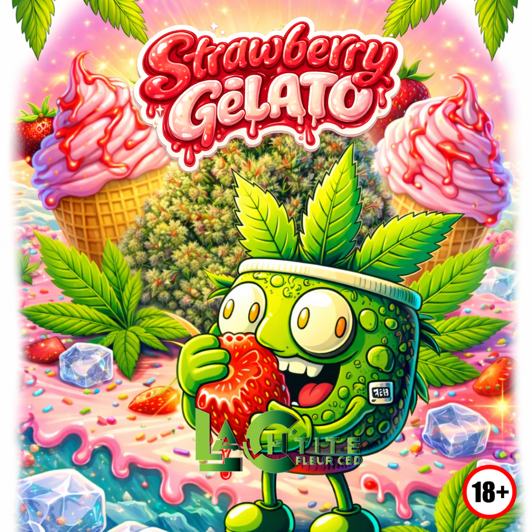 stramberry gelato cbd