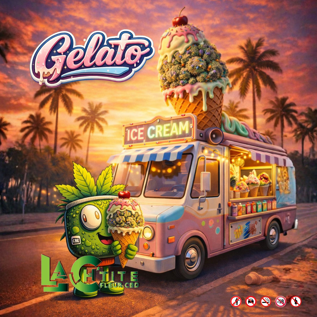 Gelato Small Bud Indoor CBD – Fleurs Premium Riches en Terpènes