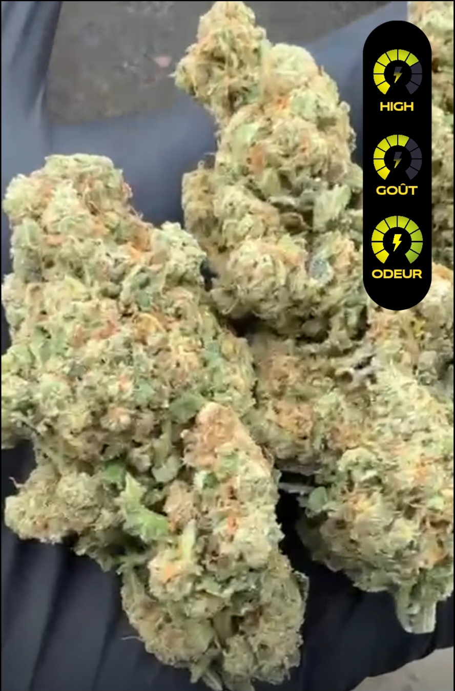 cbd us amnesia
