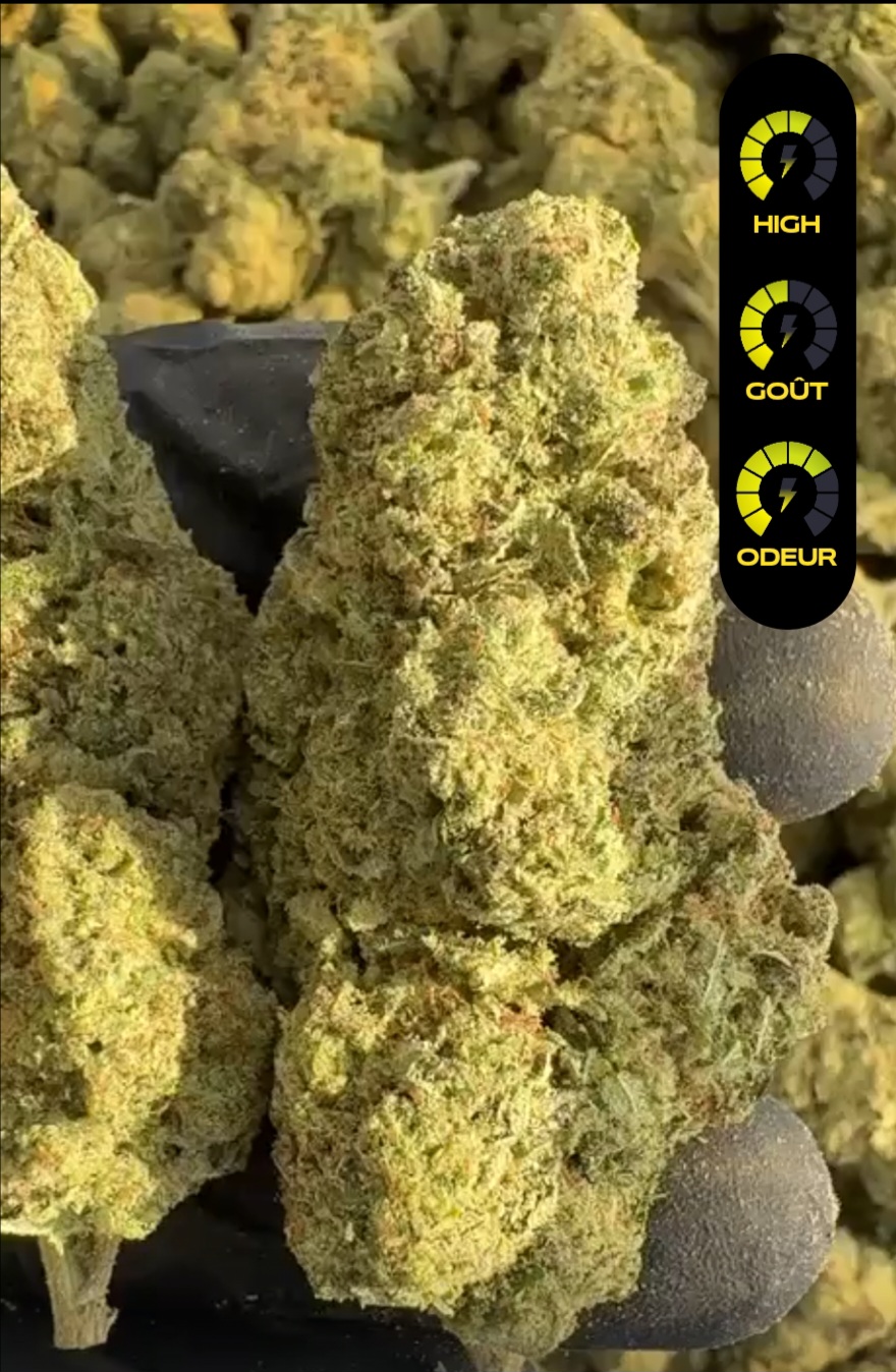 skywalker indoor