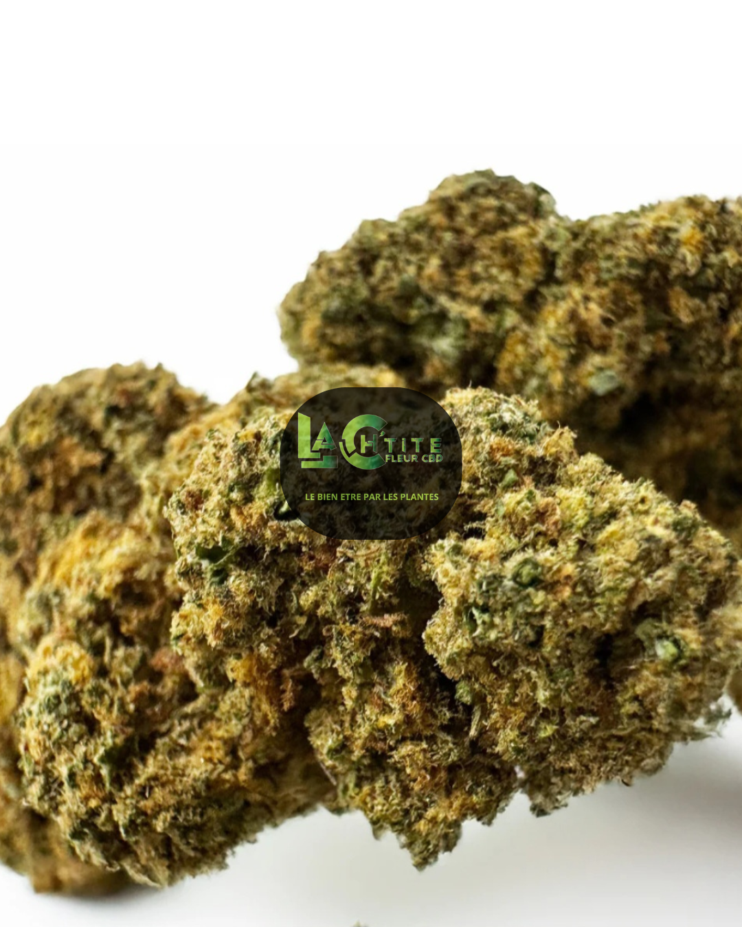 orange cbd bud indoor