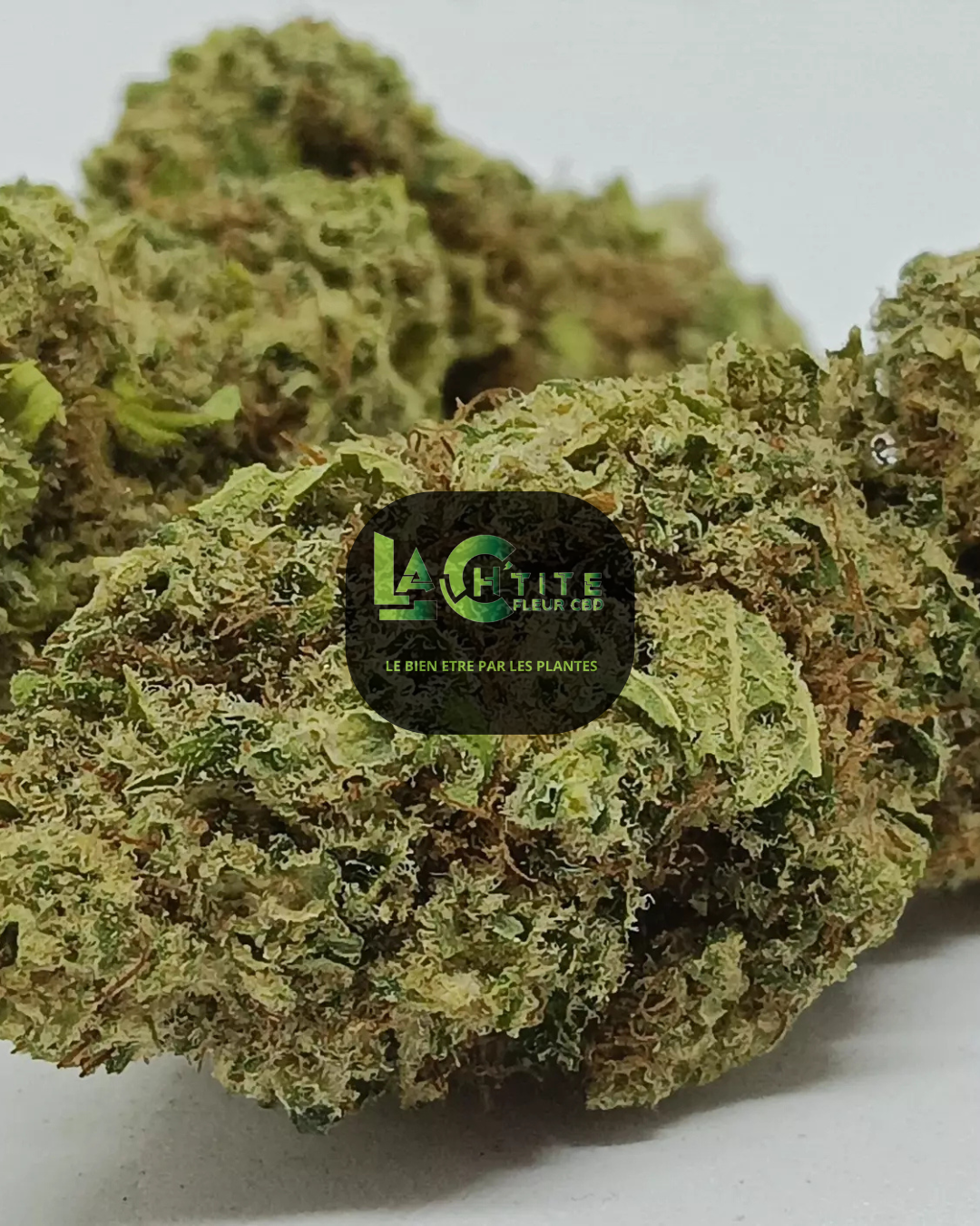 bud orange cbd