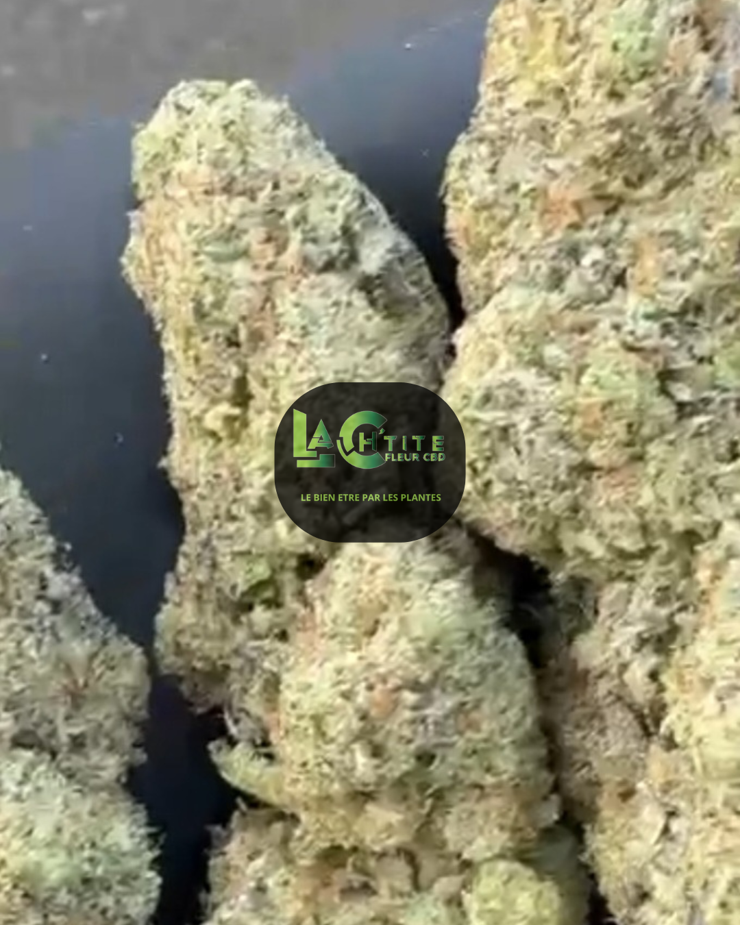 cbd og kush