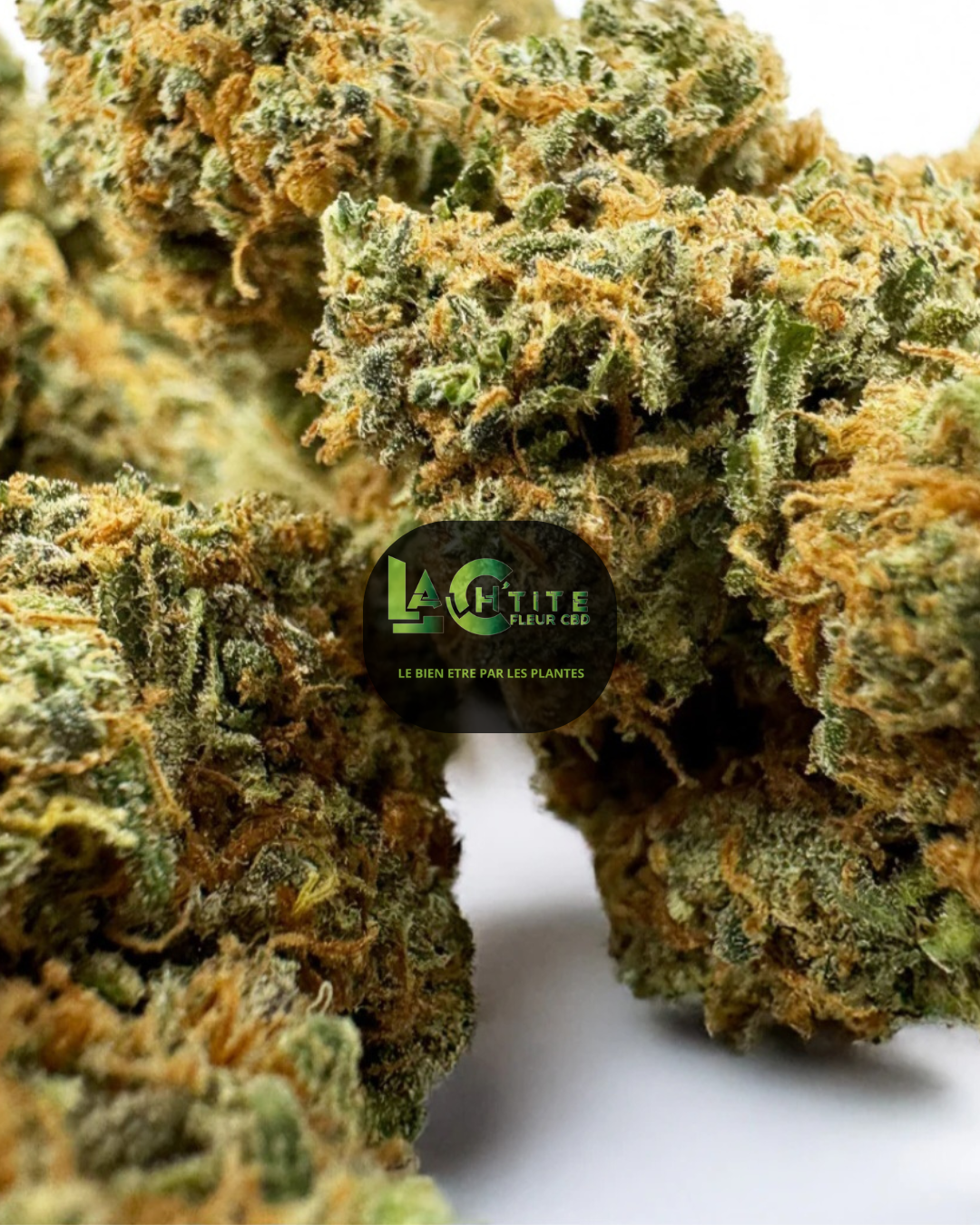 blueberry muffincbd indor