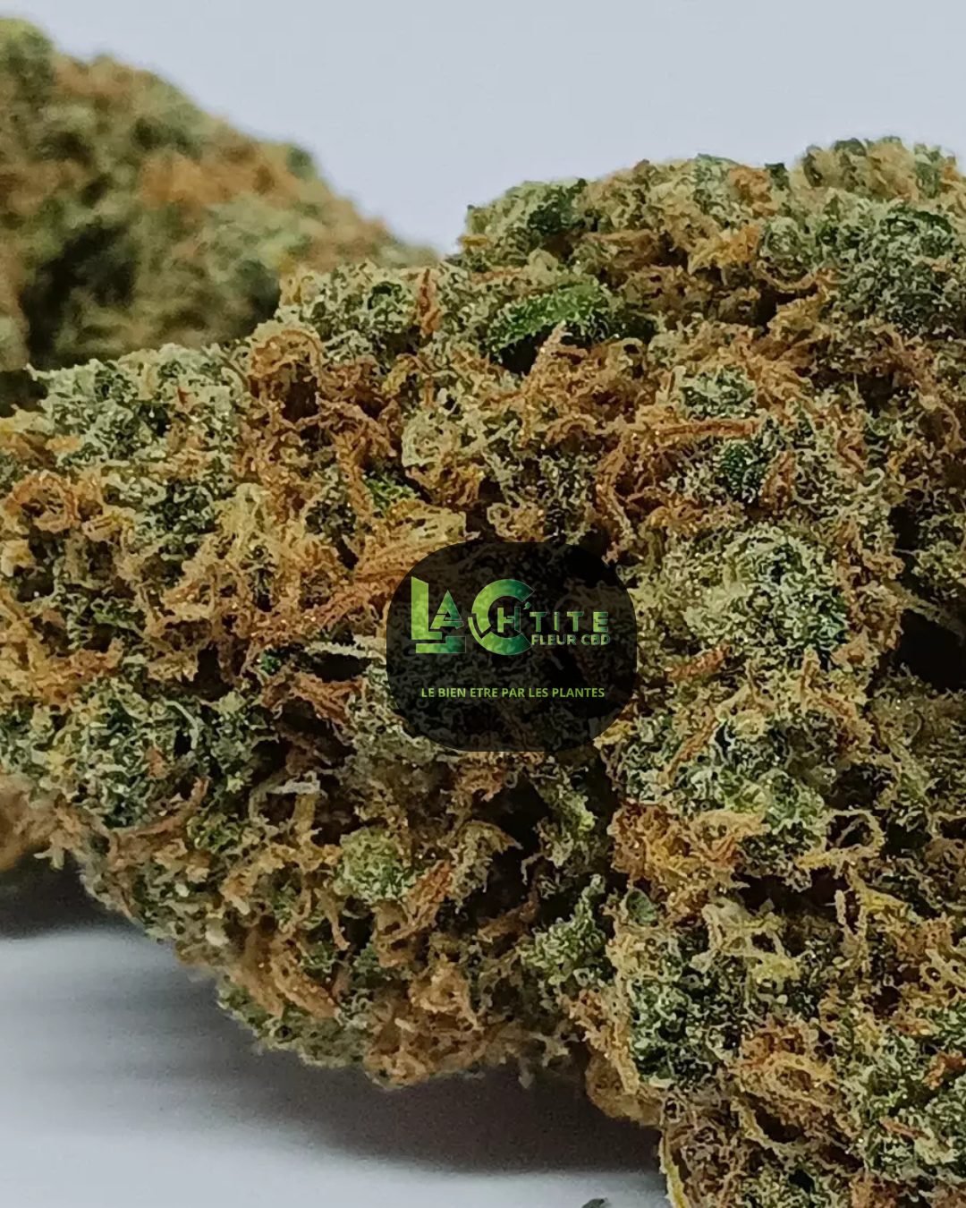 muffin cbd indoor blueberry