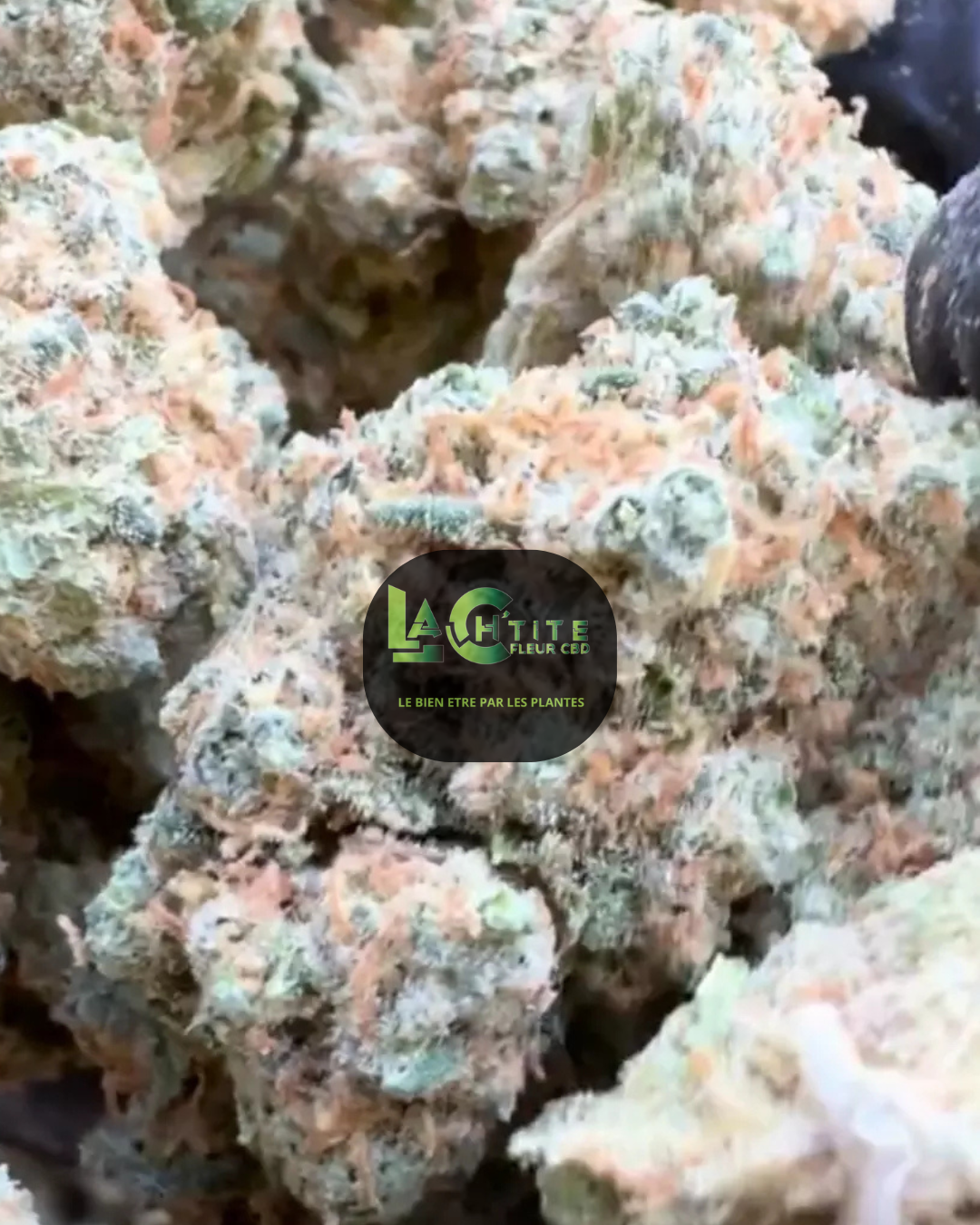 bluebeery claire cbd