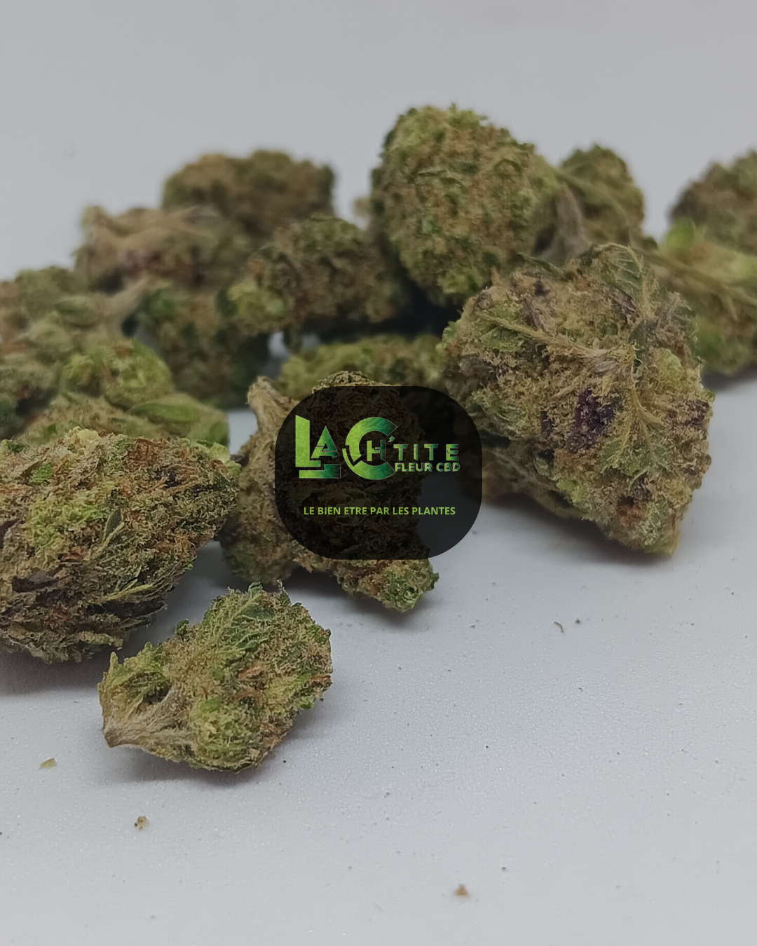 gelato sb indoor