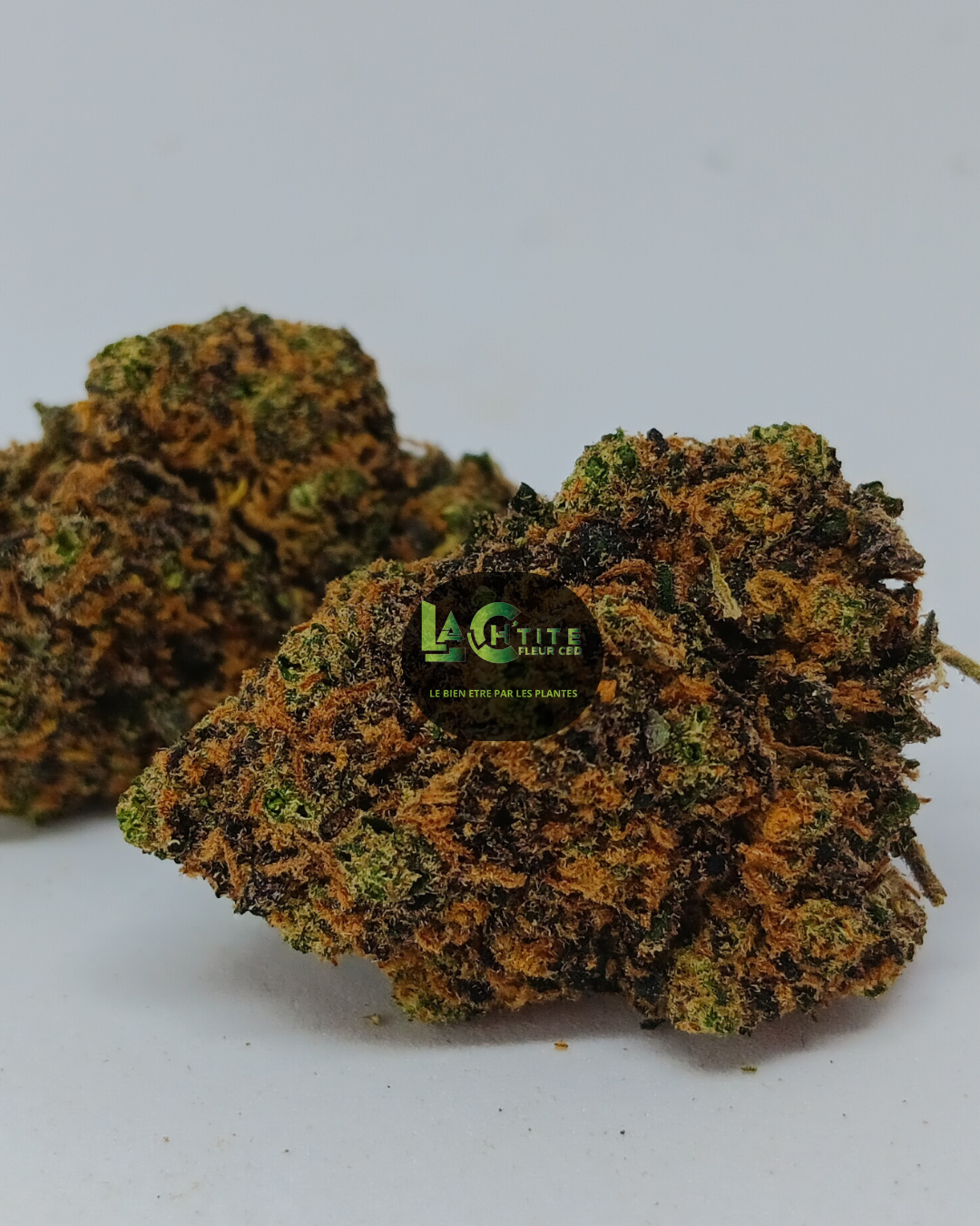 Purple Lemonade Indoor