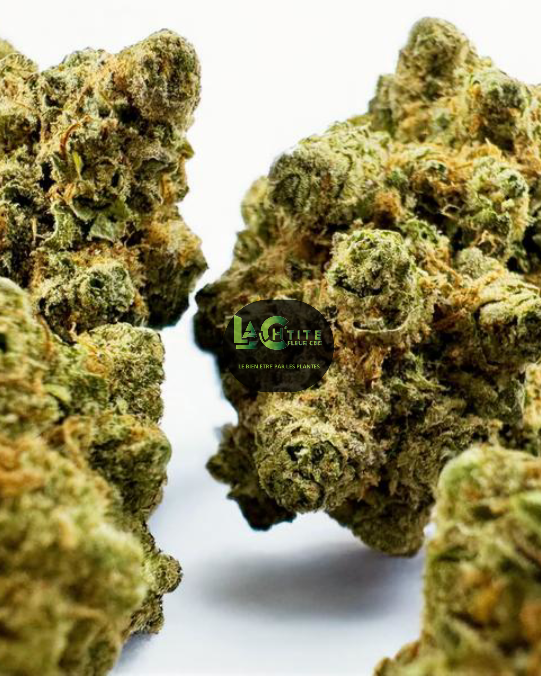 SUPER LEMON HAZE HYDRO CBD 14.7% THC 0.3%