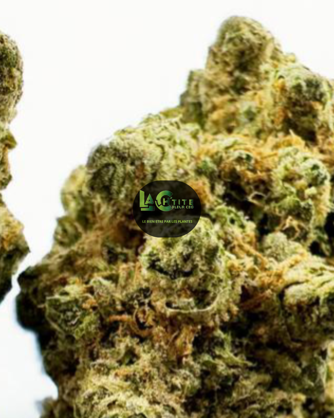 ht super lemon haze hydro