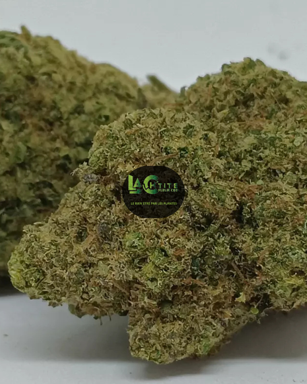 nlx indoor