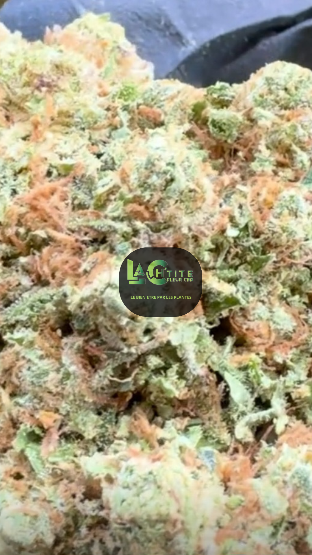 super lemon