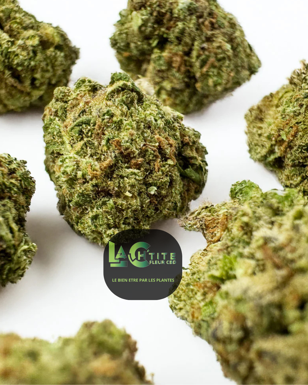 Blueberry Muffin Small Bud Indoor 100GR