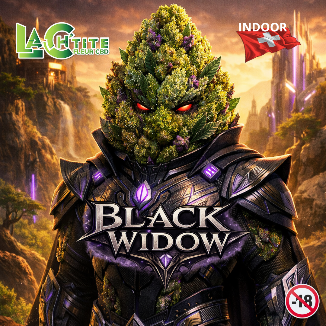 Black Widow Indoor CBD
