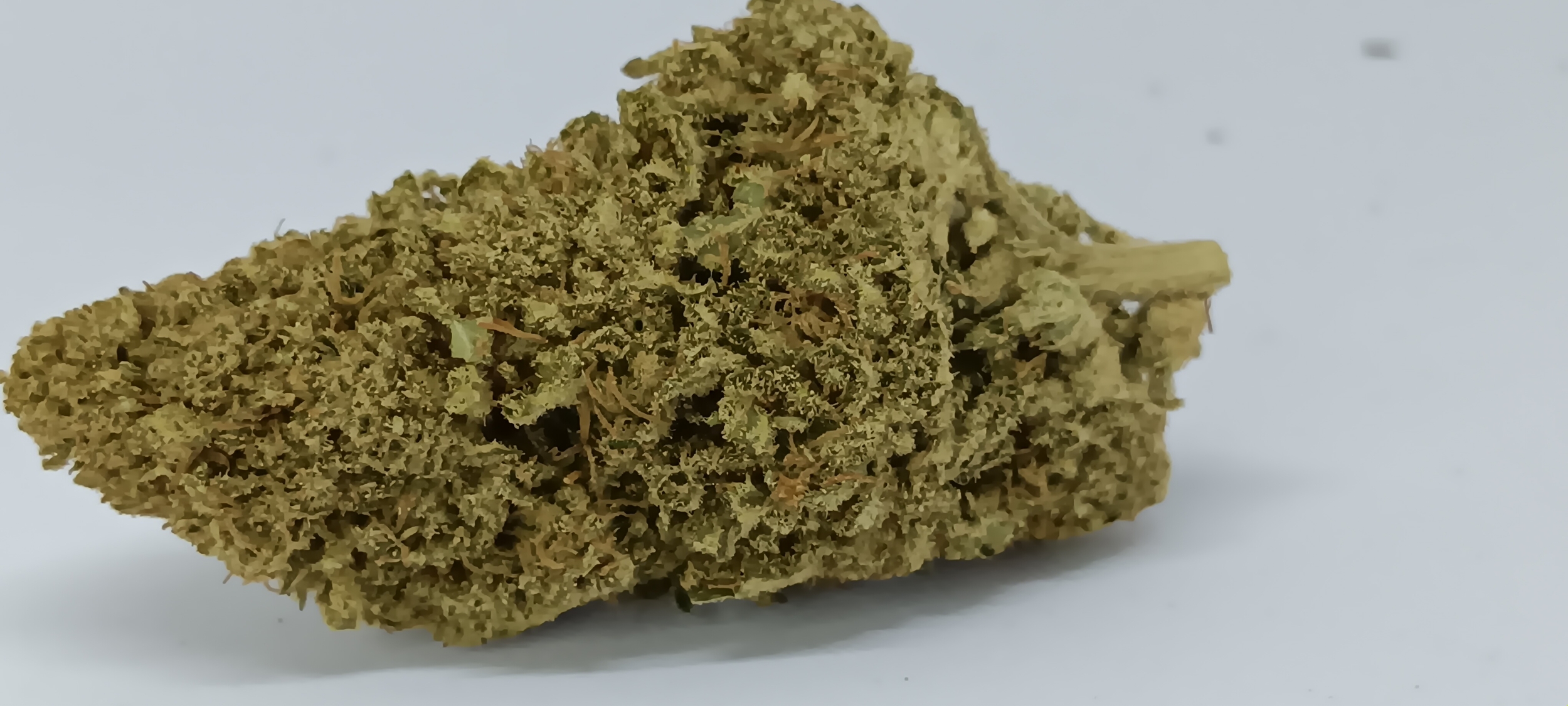 Bubble Mint Indoor CBD