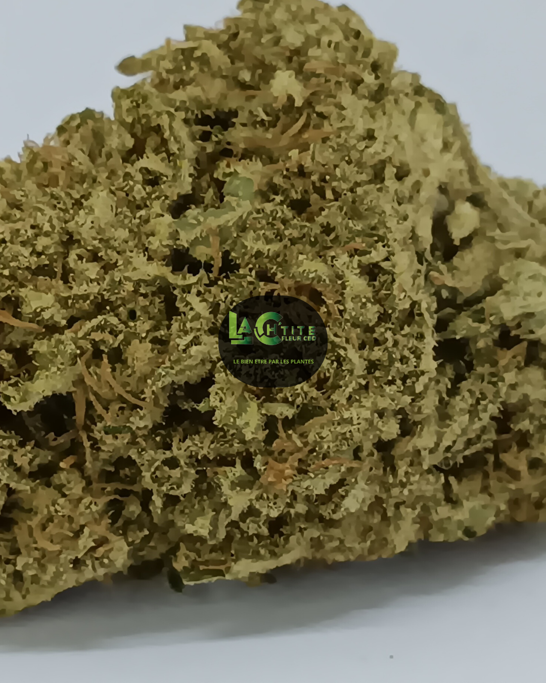 bubble mint indoor