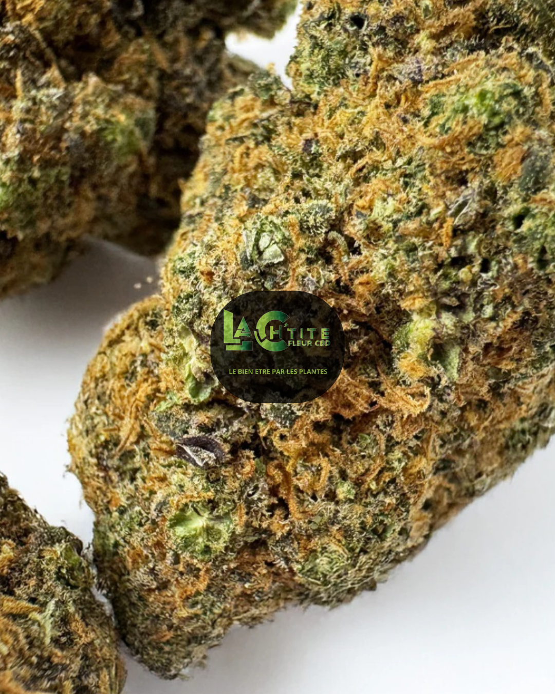 Gaz Berry Indoor CBD