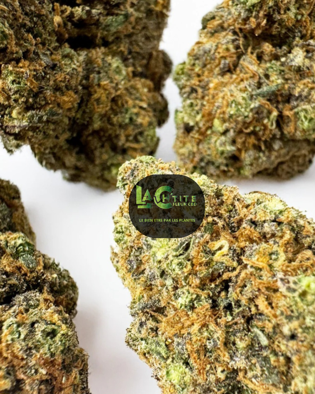 berry gaz