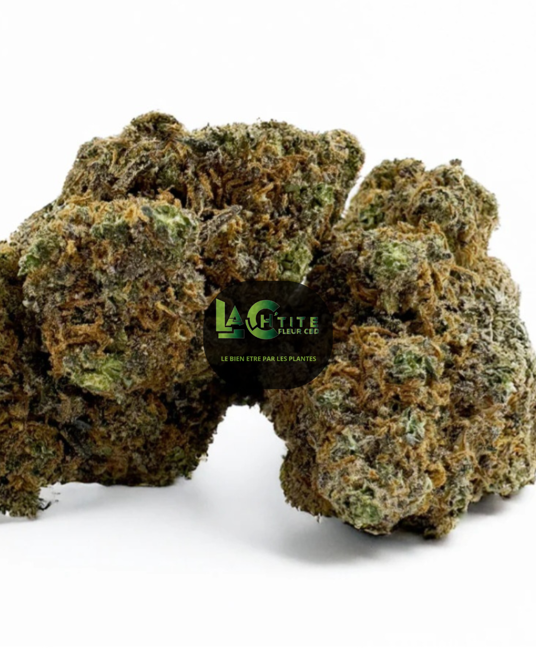 cbd gazindoor