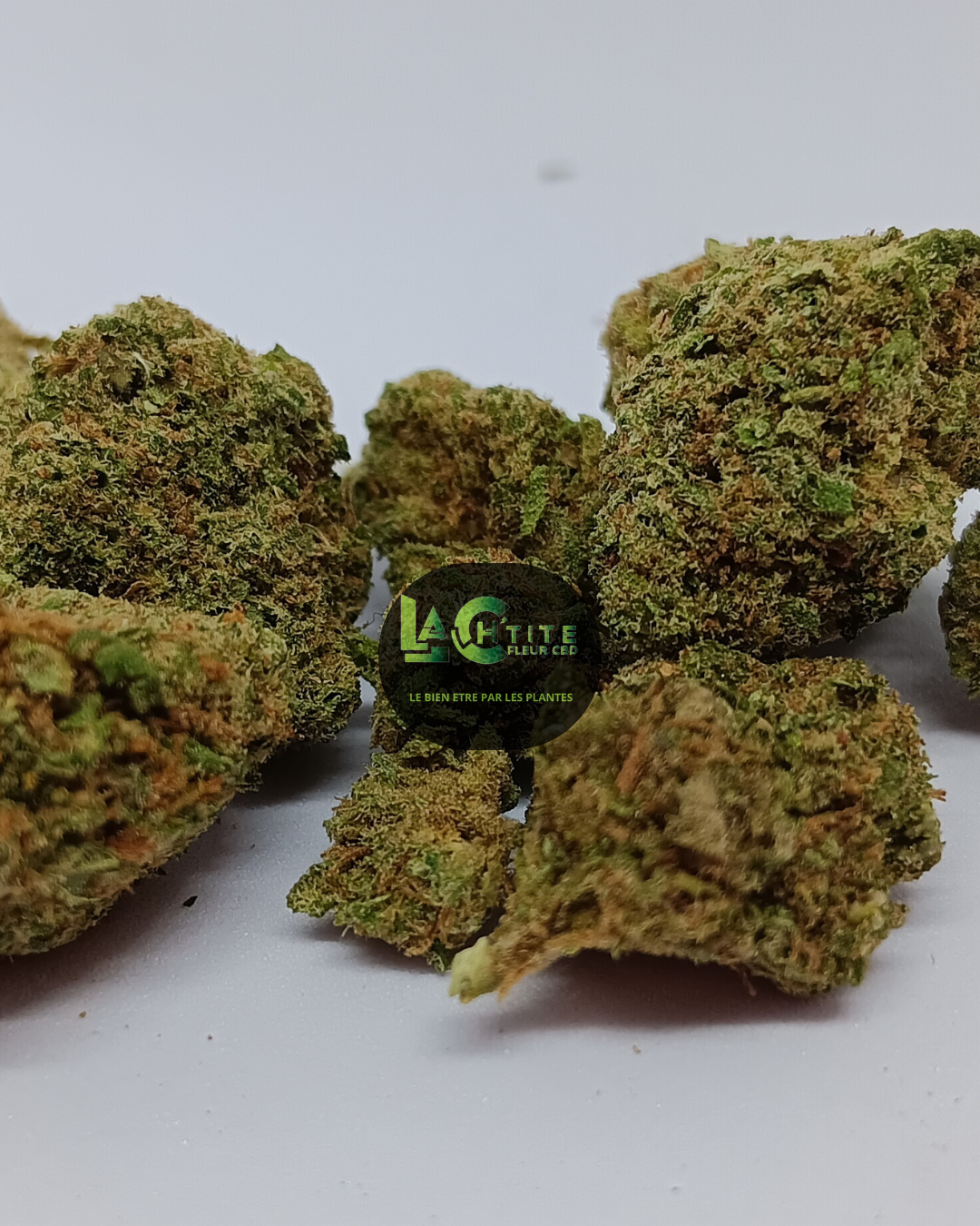 candy hydro sb