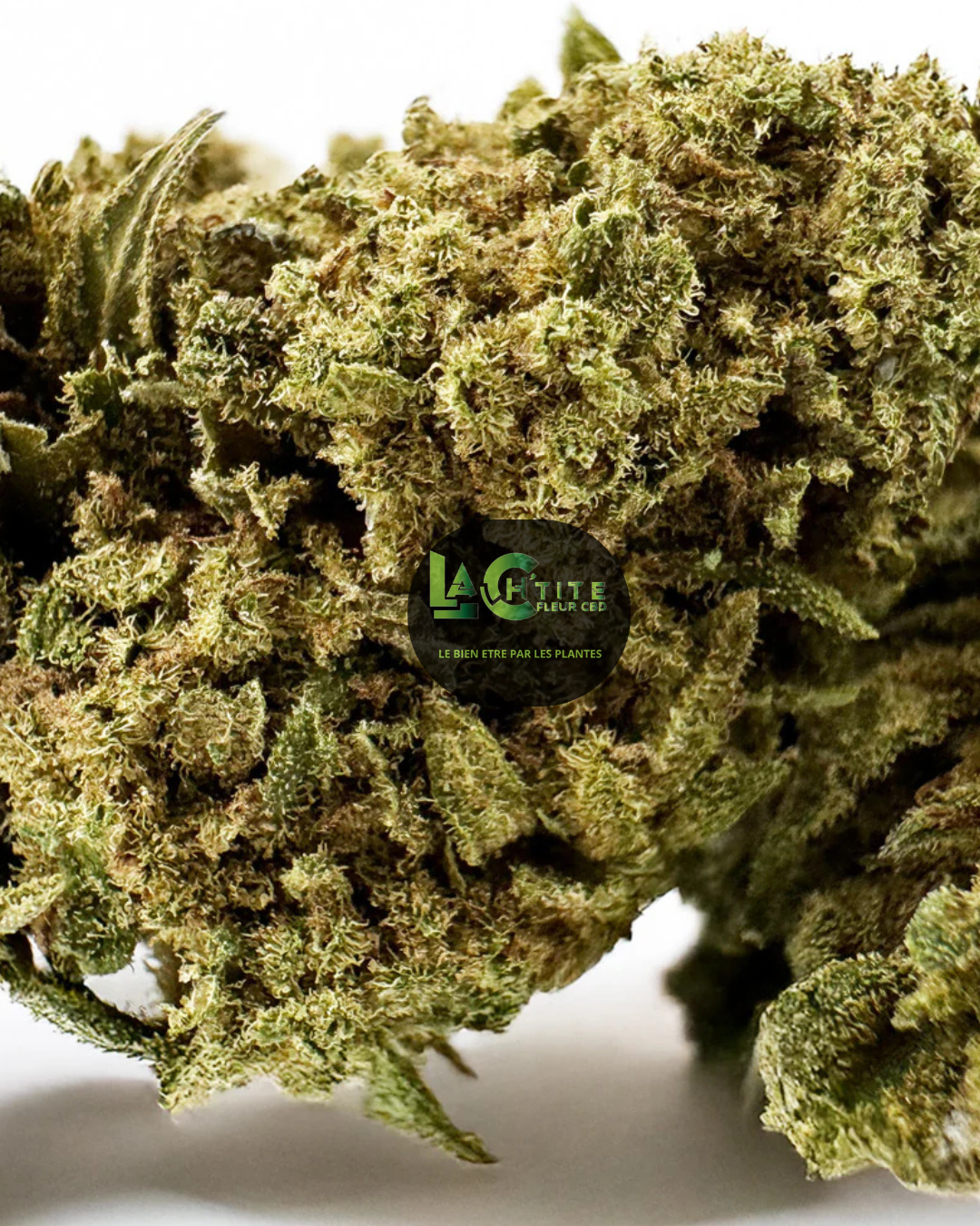 Bubble Gum Greenhouse CBD