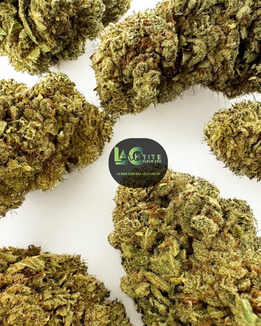 citrus og cbd