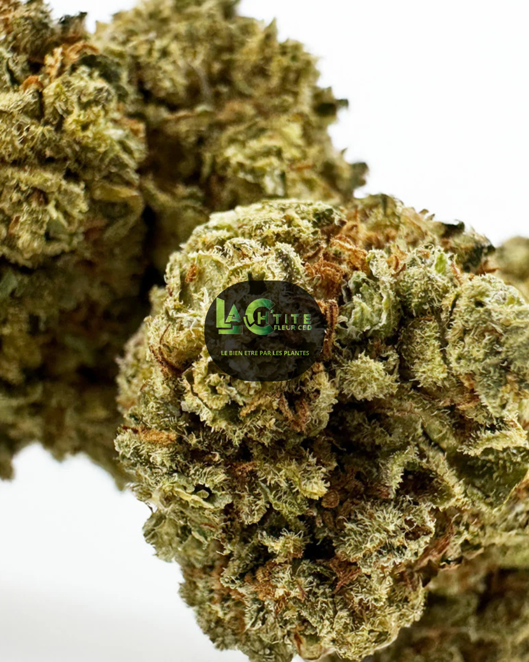 Citrus OG Indoor CBD