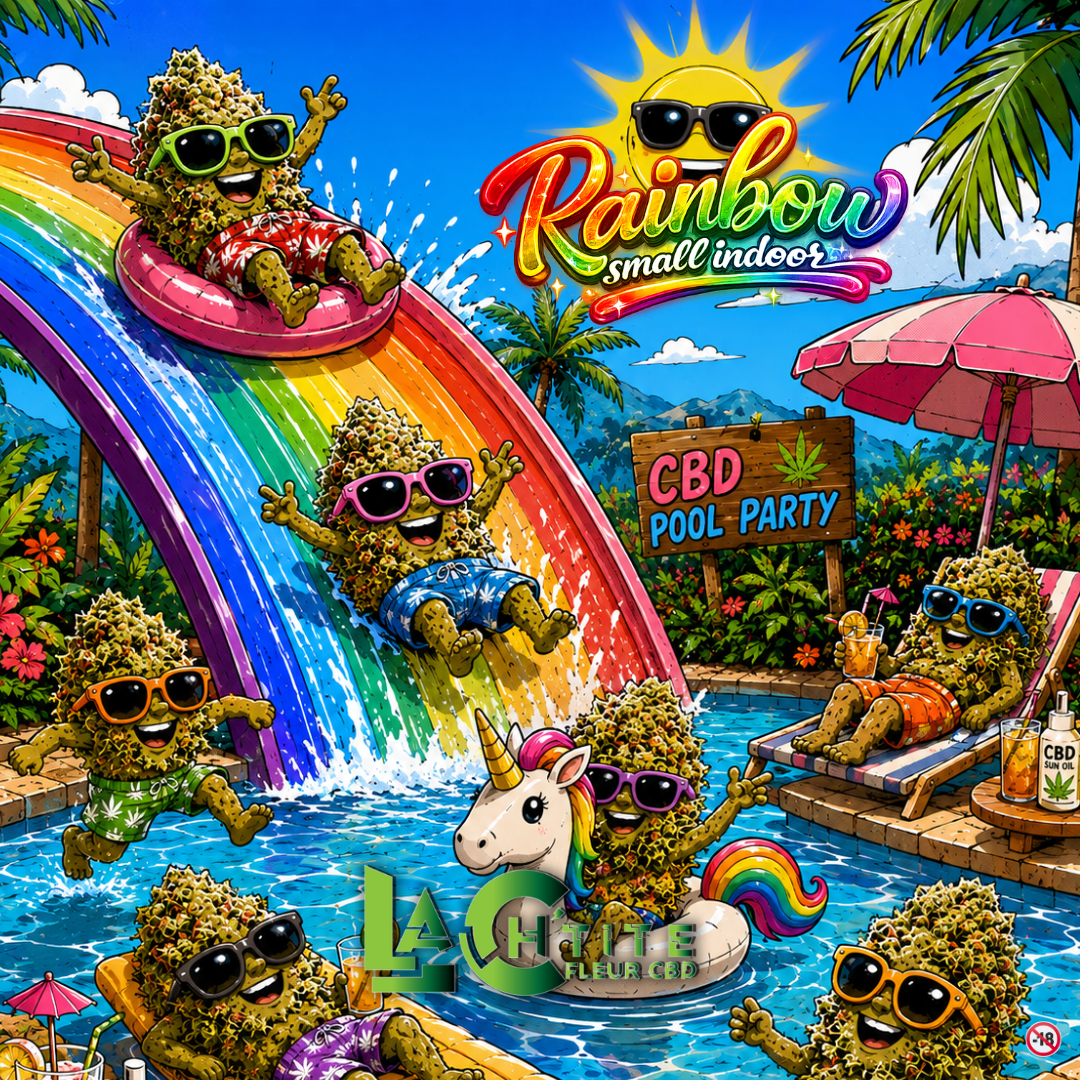 rainbow small