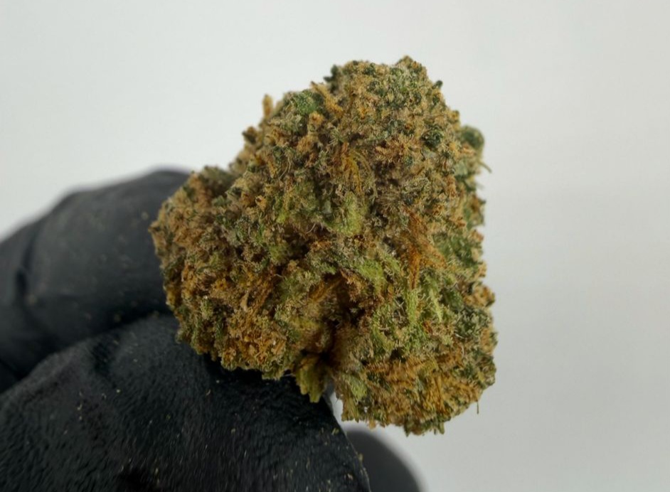 Rainbow Small Bud Indoor CBD