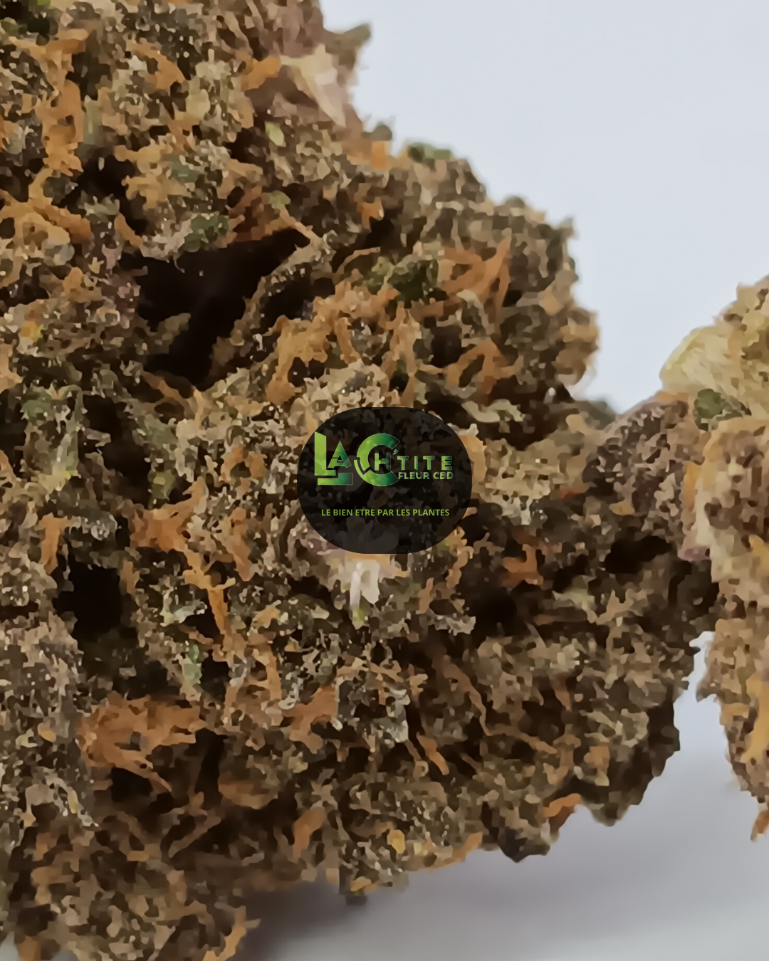 sAPHIR CBD