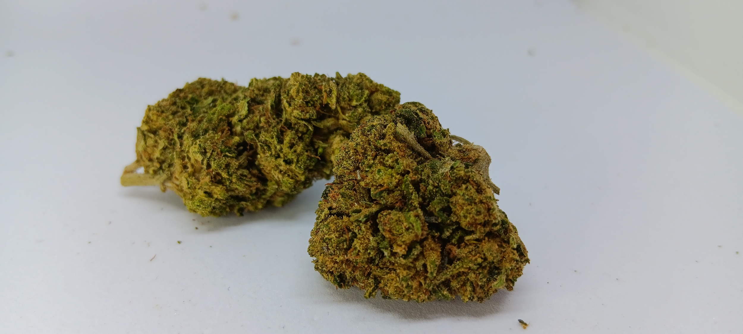 Cake Berry Indoor CBD