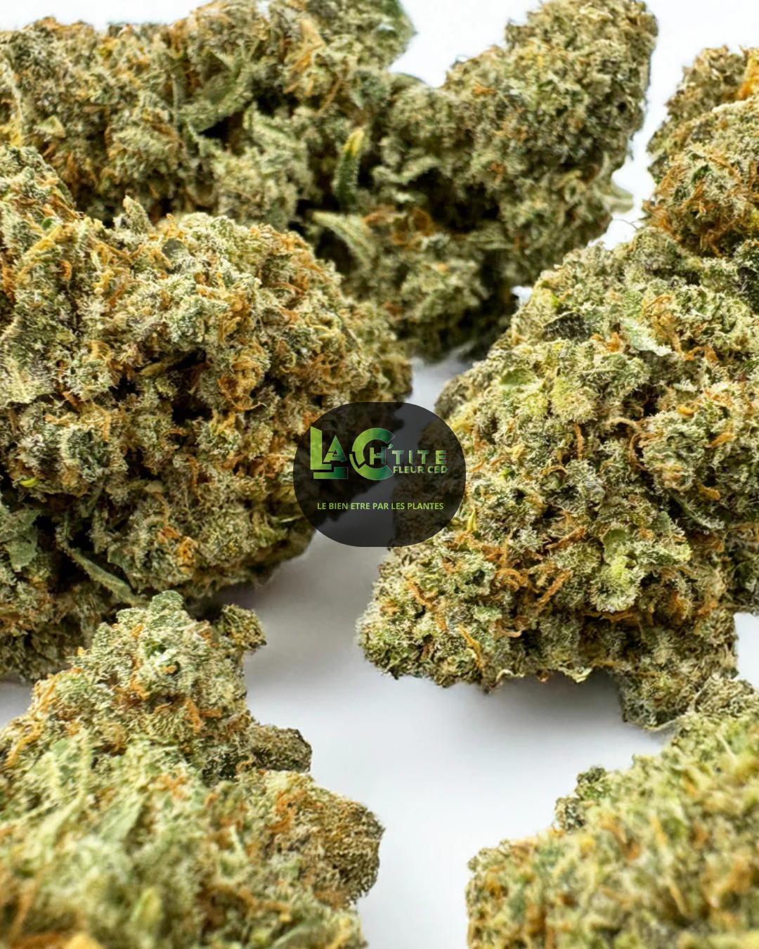 Fleur de CBD Cookie Cream Hydro