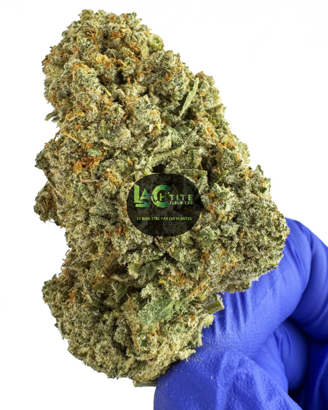 cokkies cream cbd