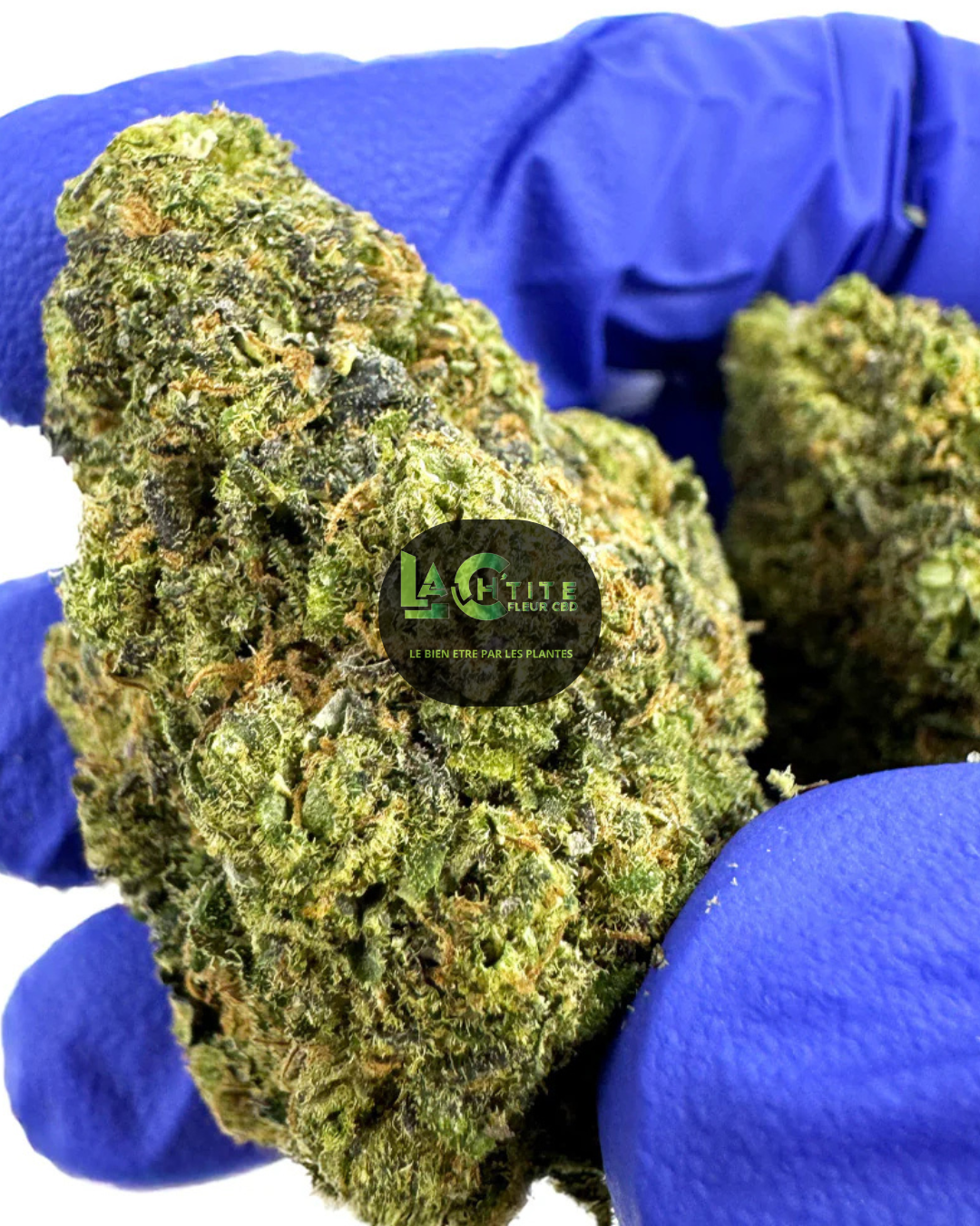 cbd runtz indoor