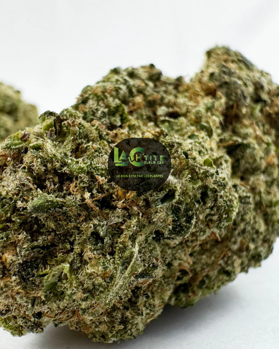 MALABAR -CBD -INDOOR