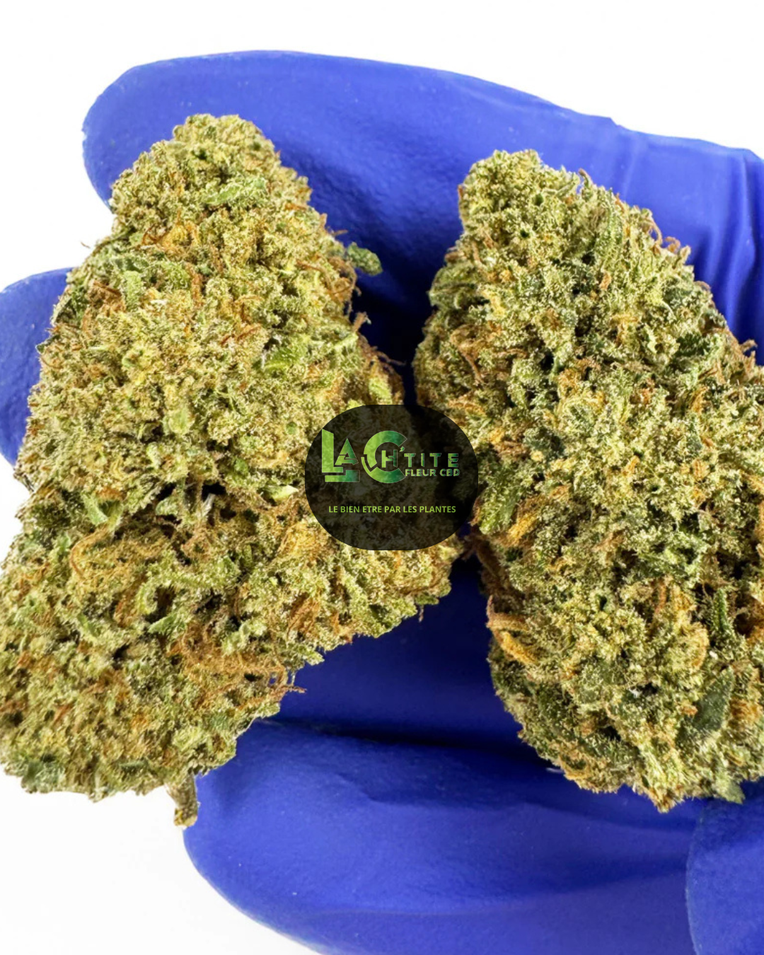 cake cbd