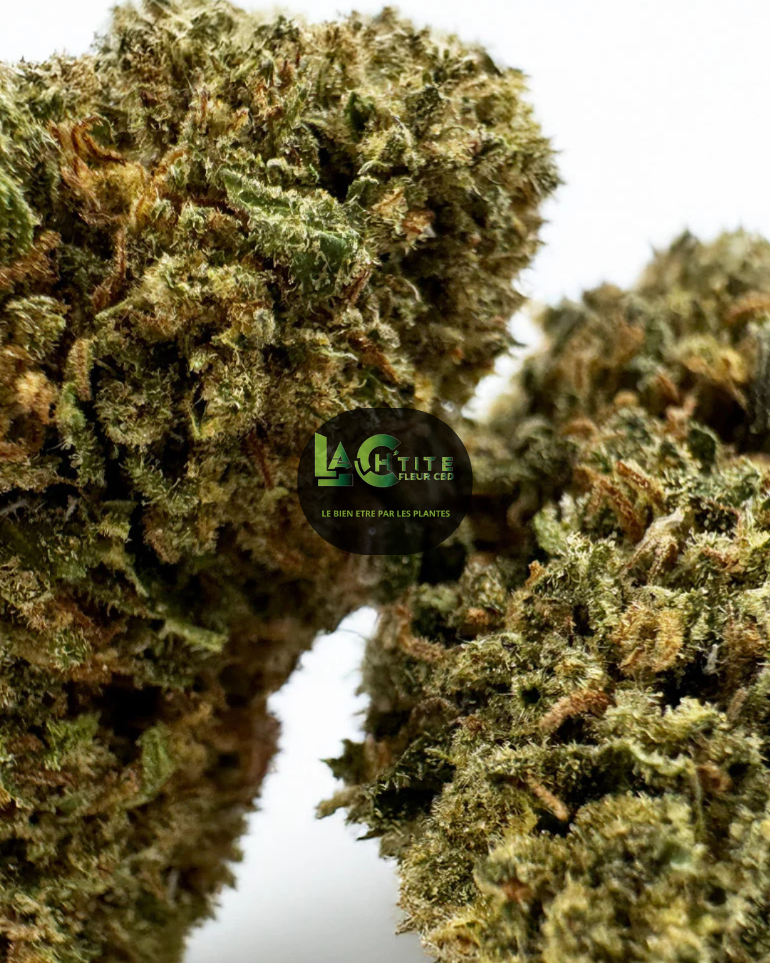 cake berry cbd