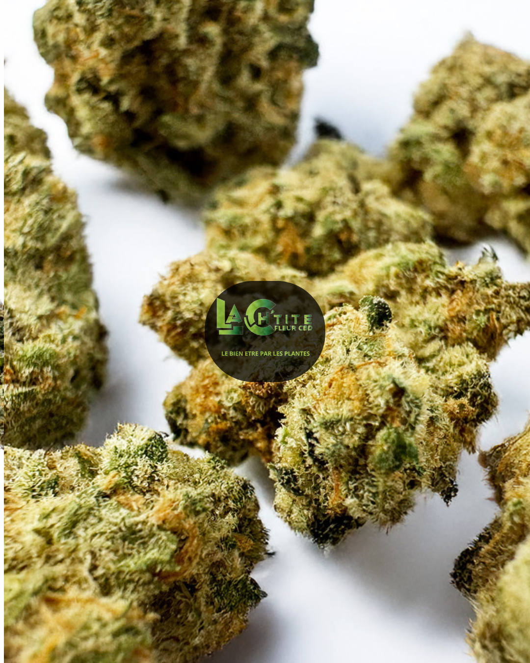 AMNESIA US SMALL BUD CBD 10% THC 0.3%