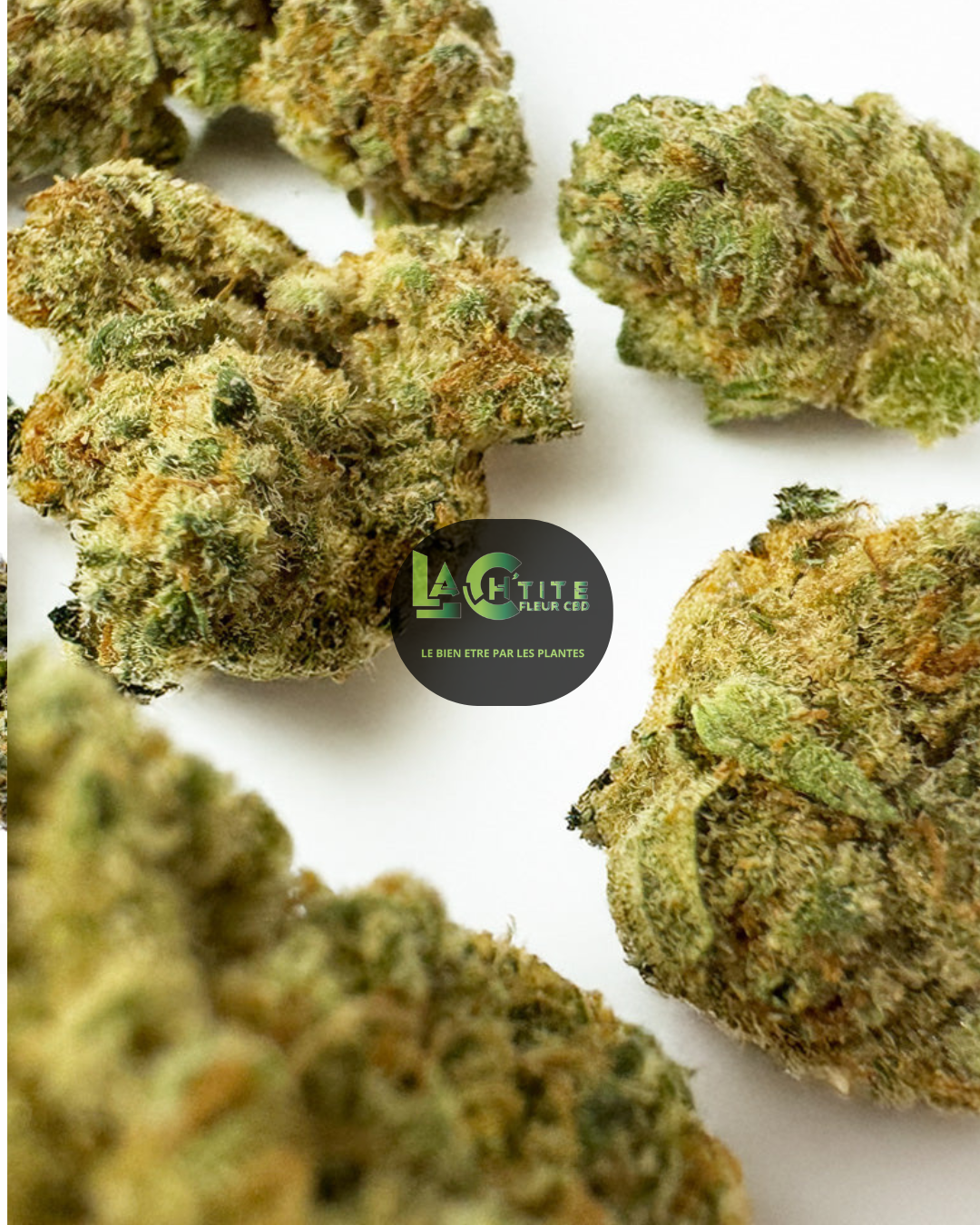 amnesia small bud indoor