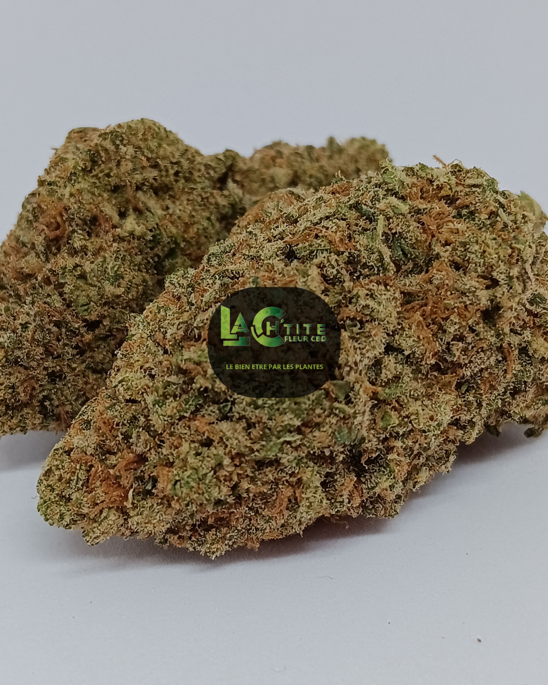 GFI HYDRO CBD