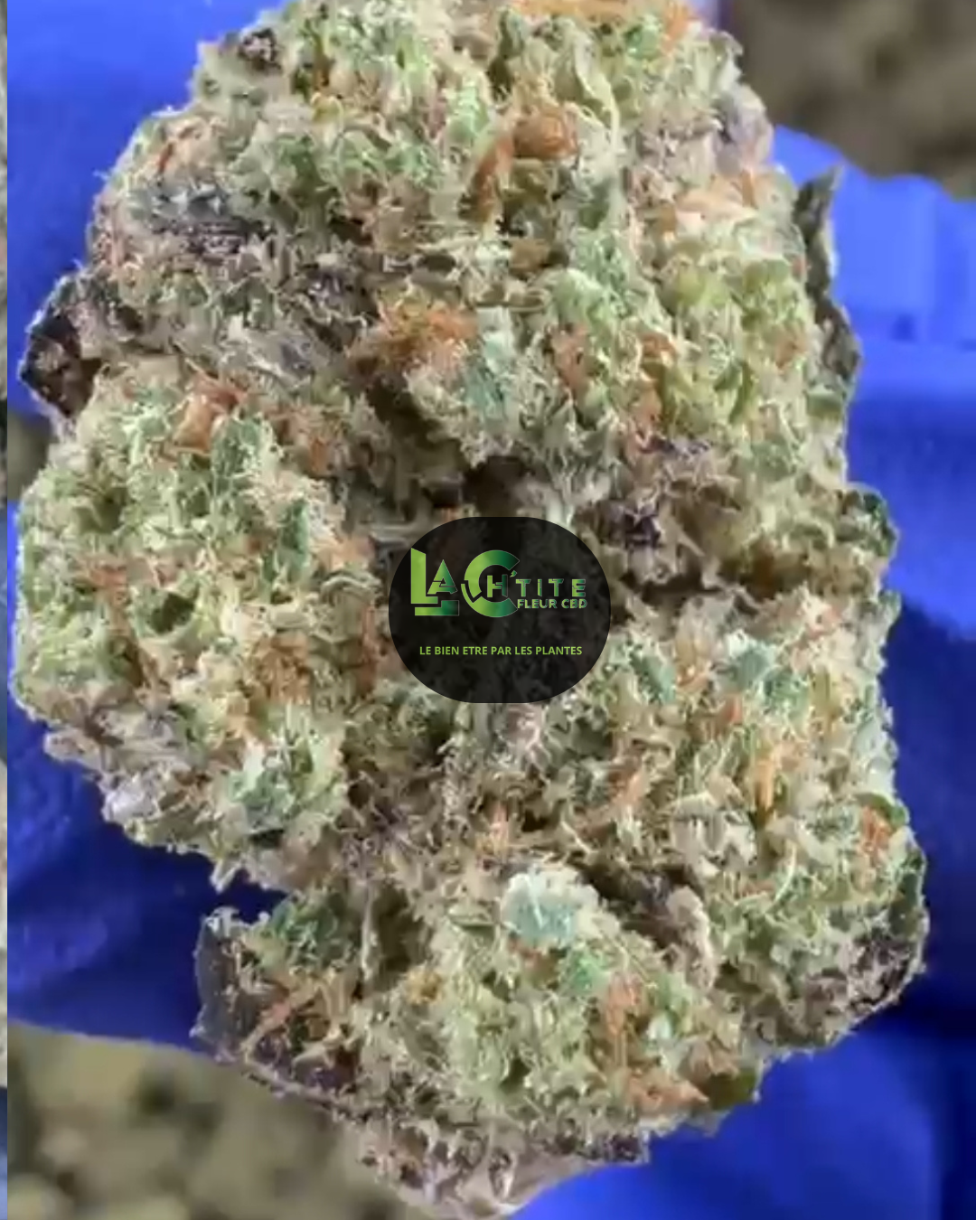 Fruity US Hydro CBD