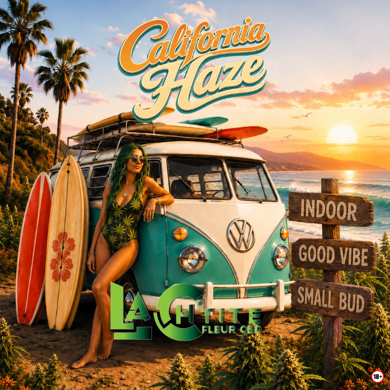CBD california small bus indoor