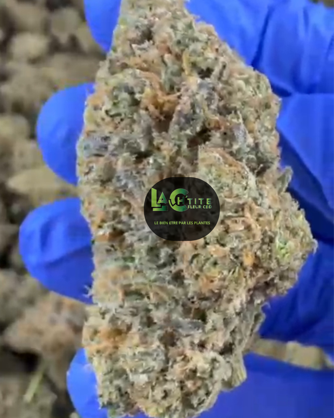 grape soda us cbd