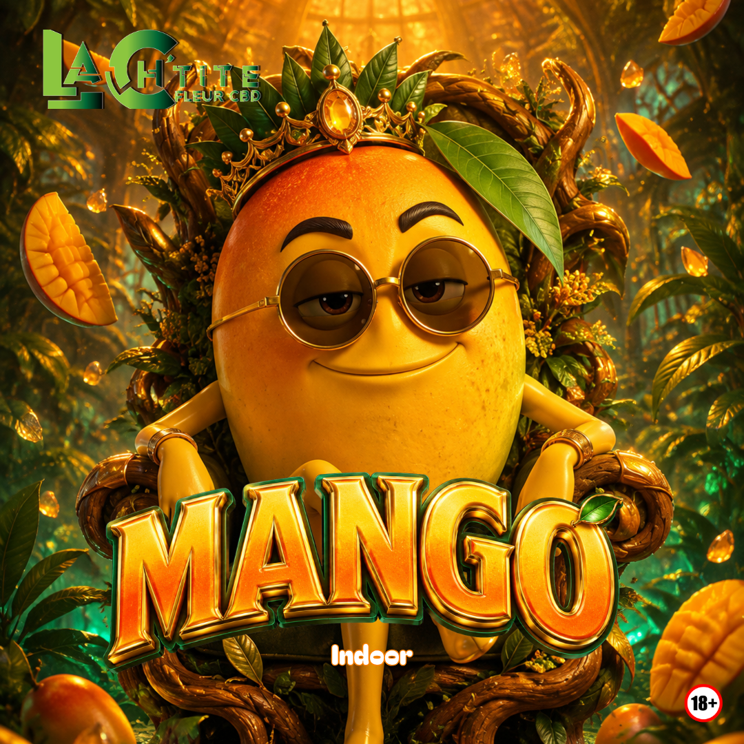 mango indoor CBD
