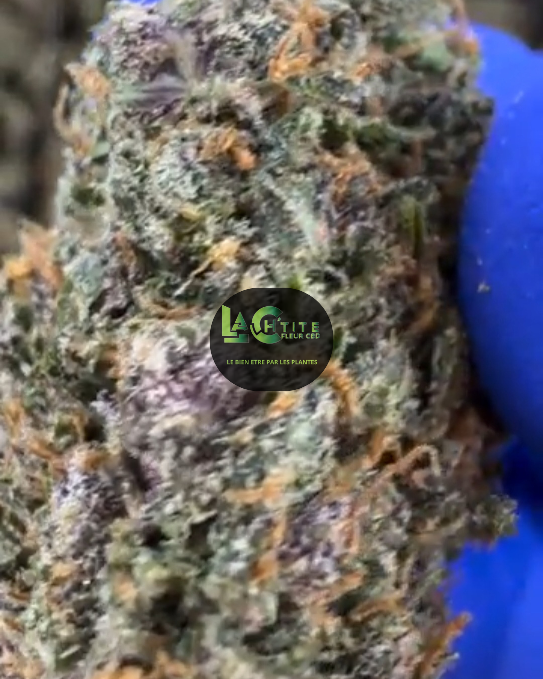 cbd us slushie