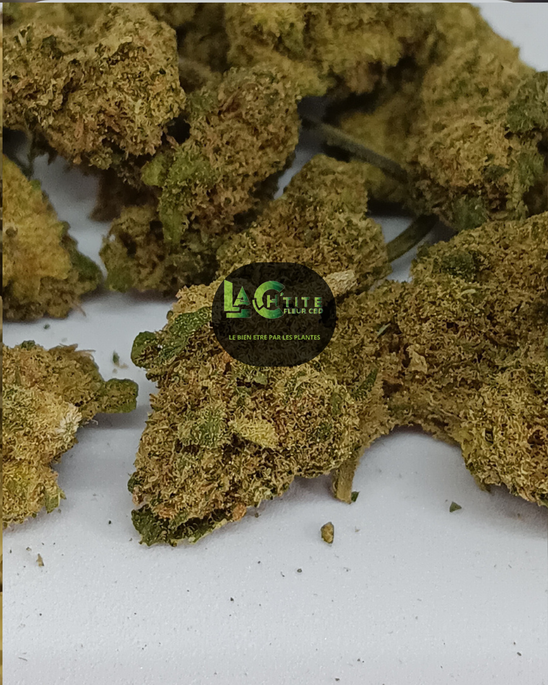 White Kush Small Bud Indoor CBD